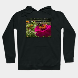 Busy Bee Hoodie